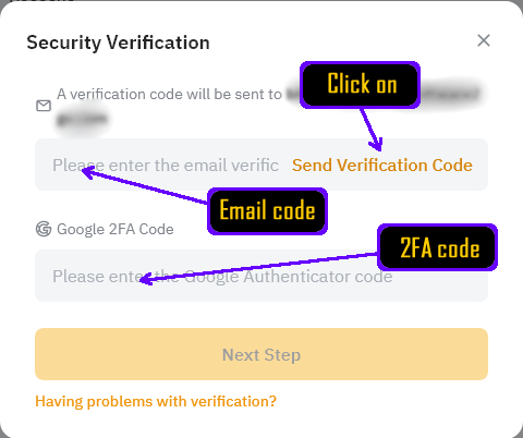 Send Verification Code - Email and 2FA Verification